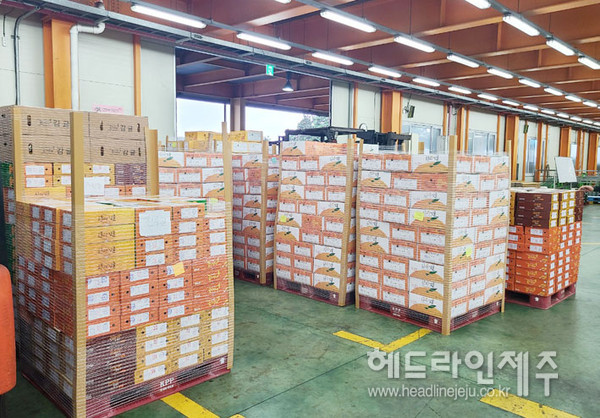 제주도, 육지부 출하 해상운송 농산물 물류비 지원