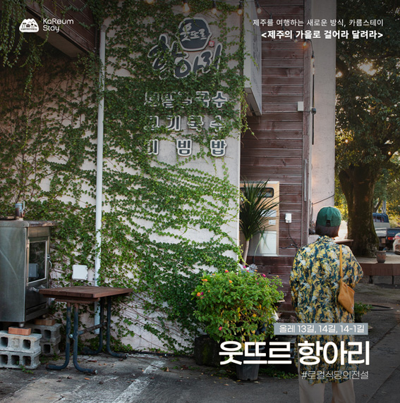 가을 물든 걷기 천국 제주 마을에서 만나는 특별한 쉼표