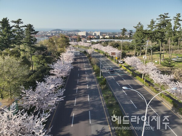숲으로 도시를 품다...제주숲 공간혁신 시즌2 본격 시작