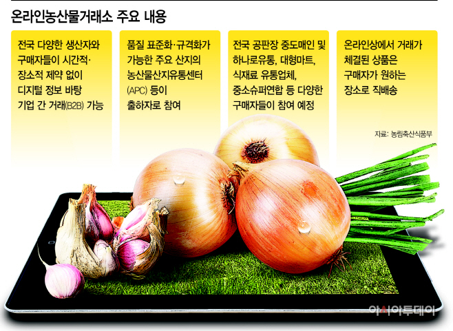 농산물 유통 언택트 시대 열렸다…양파 12주간 61억 거래