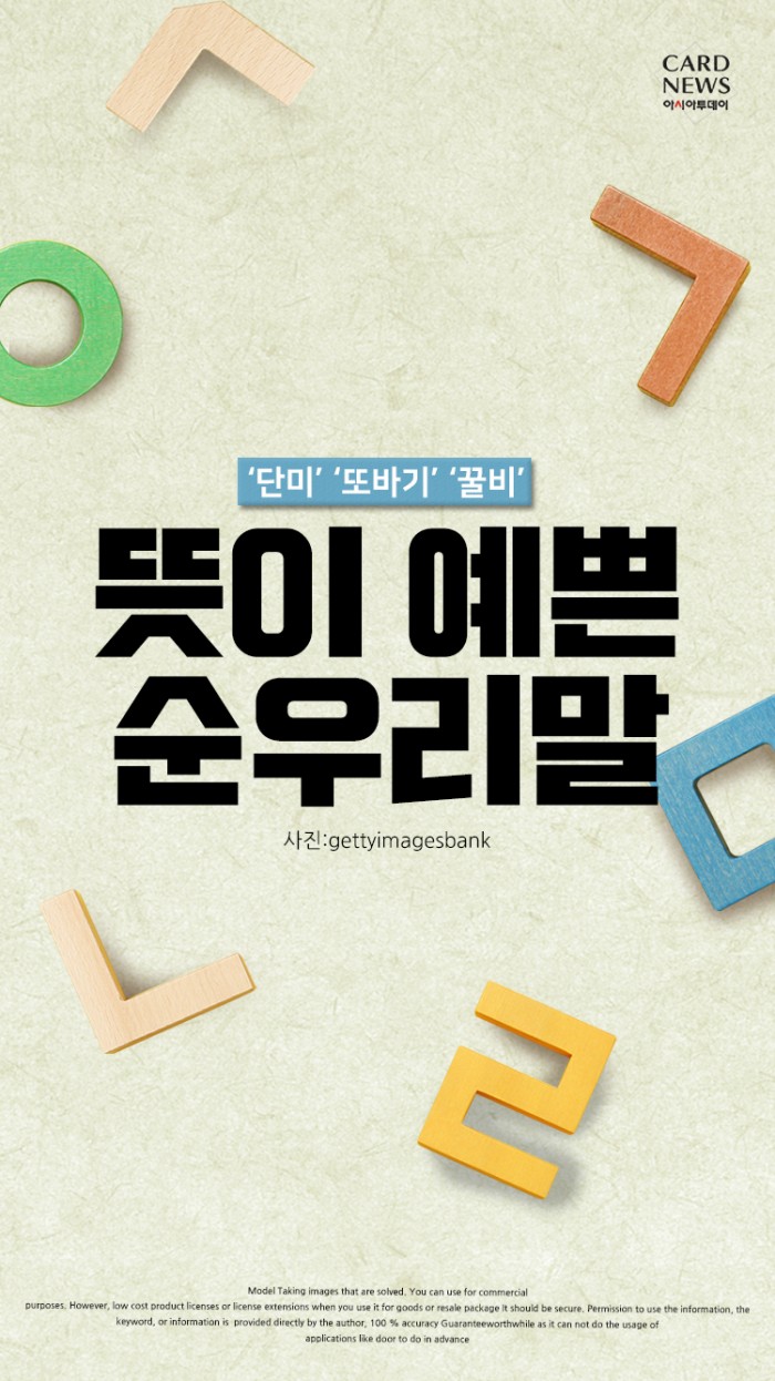 [카드뉴스] ‘단미’ ‘또바기’ ‘꿀비’... 뜻이 예쁜 순우리말