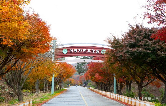 장수군, 와룡·방화동자연휴양림, 숲해설 프로그램운영