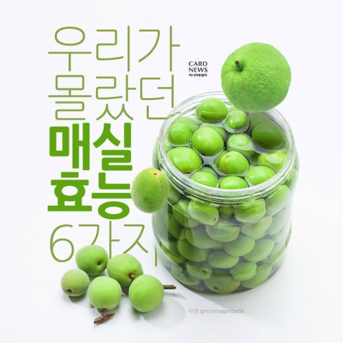 [리스티클] 우리가 몰랐던 매실 효능 6가지