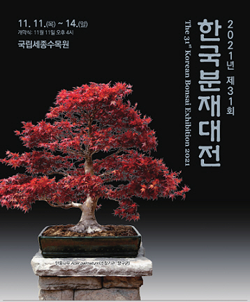 국립세종수목원서 제31회 한국분재대전 연다