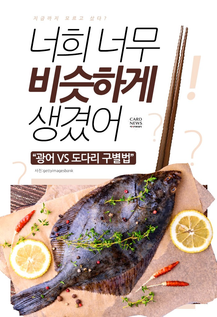 [카드뉴스] 너희 너무 비슷하게 생겼어 “광어 VS 도다리 구별법”