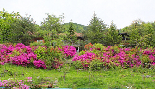 국립자연휴양림, 청태산 숲서 어린이날 이벤트 다채