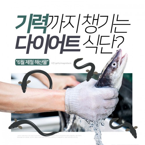 [리스티클] 다이어트에 도움 되면서 기력도 보충해 주는 “6월 제철 해산물”