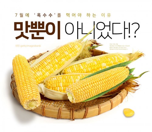 [리스티클] 7월에 ‘옥수수’를 먹어야 하는 이유