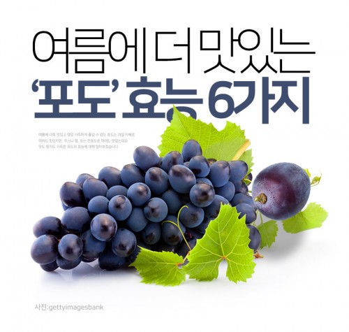 [리스티클] 여름에 더 맛있는 ‘포도’ 효능 6가지