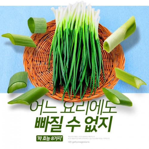 [리스티클] 어느 요리에도 빠질 수 없는 ‘파 효능 8가지’