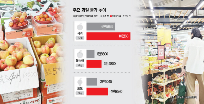 [르포] 추석 다가오는데…2배 뛴 과일값에 한숨 푹푹