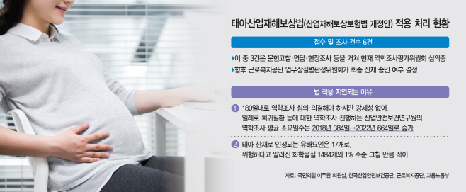 임신중 유해물질 노출 인정한 태아산재법 첫 사례, 연내 나올까