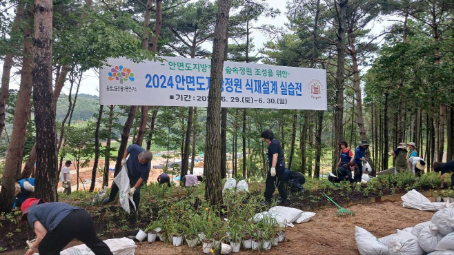 안면도 지방정원 실습전, 자생식물로 아름답게 꾸몄다