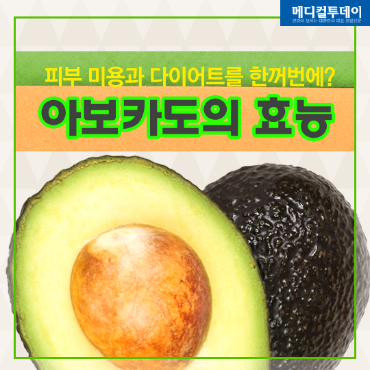 [카드뉴스] ‘피부 미용과 다이어트를 한꺼번에?’ 아보카도의 효능