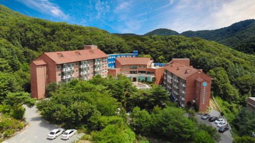 가평푸른숲요양병원, 한·양방 협진 통합면역치료 시행