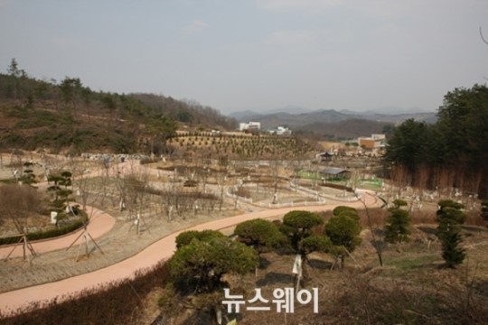 전북 진안 마이산 ‘산약초 타운’ 개장