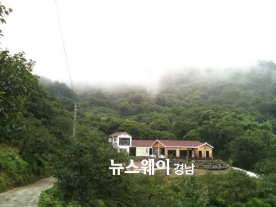 [하동 야생차 투어 연우제다 귀농일기]발효차 만들기