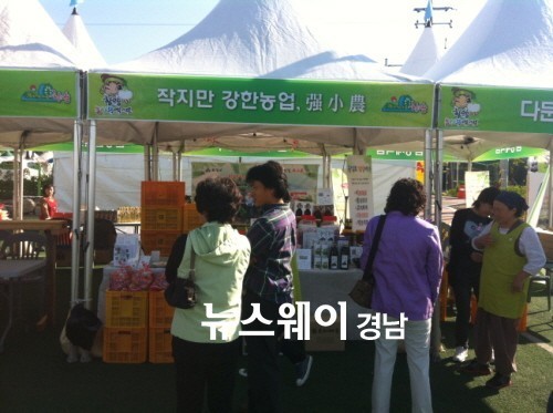 작지만 강한농업 함양 강소농 산삼축제 참여