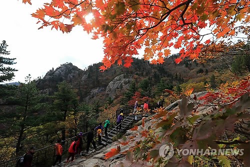 기상청, 올가을 첫 단풍 예년보다 늦어져…28일 설악산서 시작될 전망