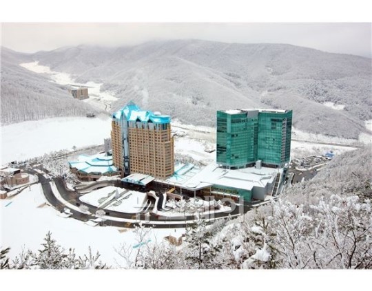 “강원랜드 카지노 레저세 부과 안 된다”