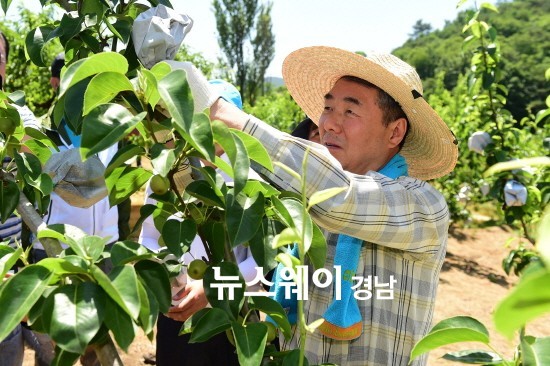 이창희 시장, 진주 정촌에서 농촌일손돕기 참여 농가 격려