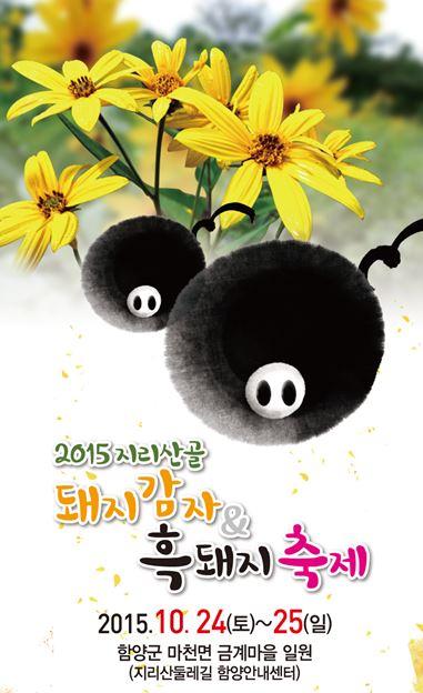 함양군 ‘2015 지리산골 돼지감자&흑돼지축제’ 개최