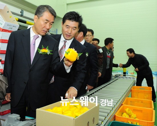 진주시 산지유통시설 7년 연속 최우수조직에 선정