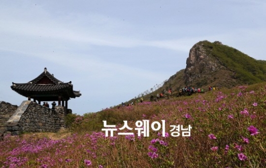 제30회 황매산철쭉제
