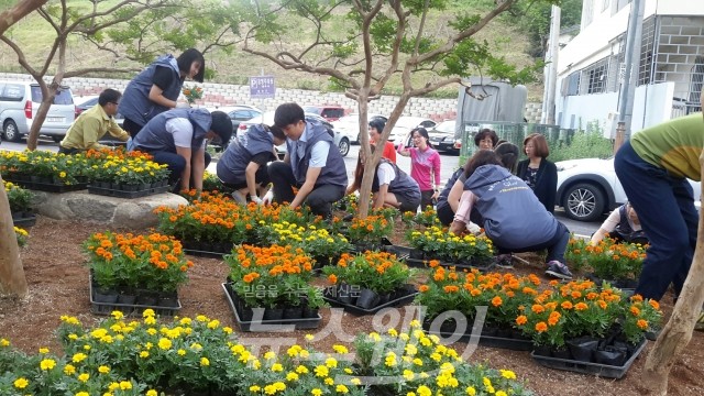 장성농협 군지부 앞 화단에도 ‘노란꽃향기’ 가득