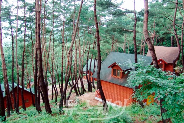화순군, 백아산·한천자연휴양림 ‘새 단장’