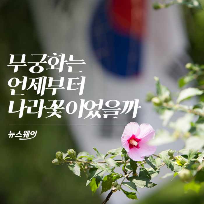 [카드뉴스]무궁화는 언제부터 나라꽃이었을까