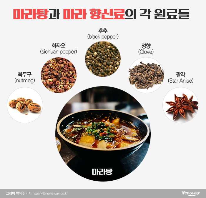 [천진영의 푸드파이터]‘얼얼하게 맵다’ 마라에 중독된 한국인