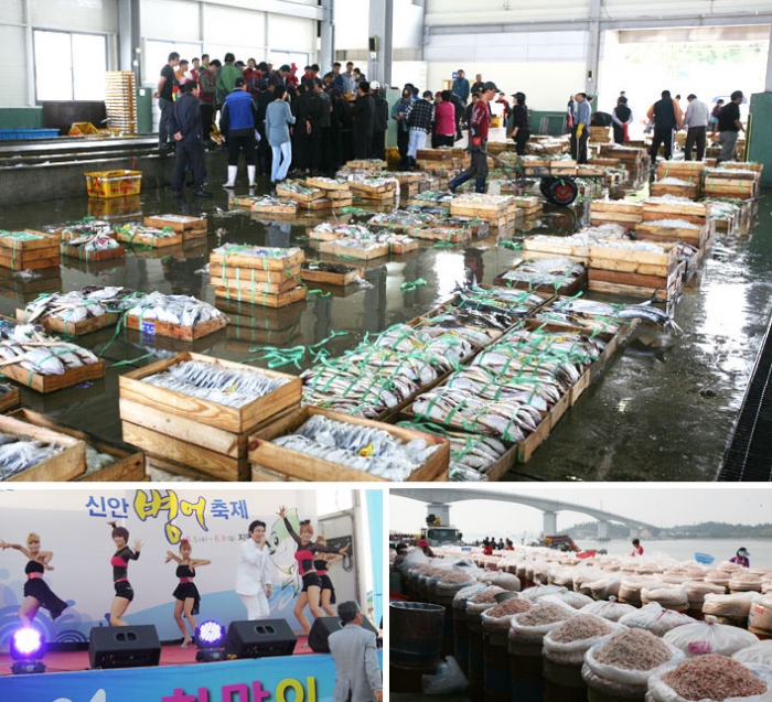 신안 송도항, 수산·관광 거점어항으로 개발한다