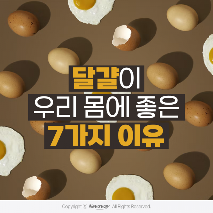 [카드뉴스]달걀이 우리 몸에 좋은 7가지 이유