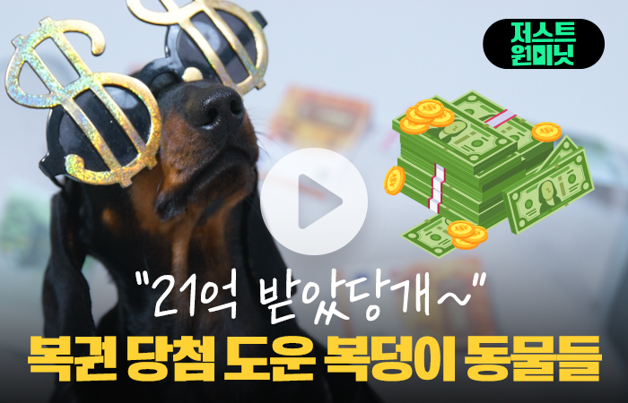[저스트원미닛]21억 받았당개 복권 당첨 도운 복덩이 동물들