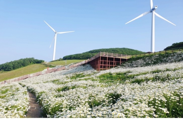 한국종합기술, 풍력발전단지 조성사업 2건 수주