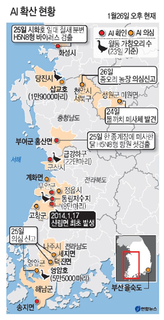 AI 충남도내 가금류 농장까지 확산…이동제한 등 방역 사투