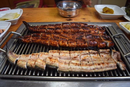 삽교천·시간·정성이 만든 힘 센 장어