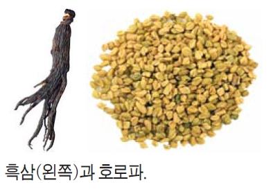 남성갱년기, 흑삼·호로파가 명약
