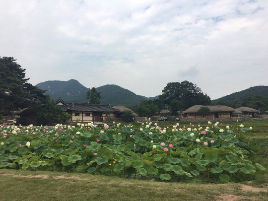 나즈막한 돌담 따라 선비가 걷던 그 길