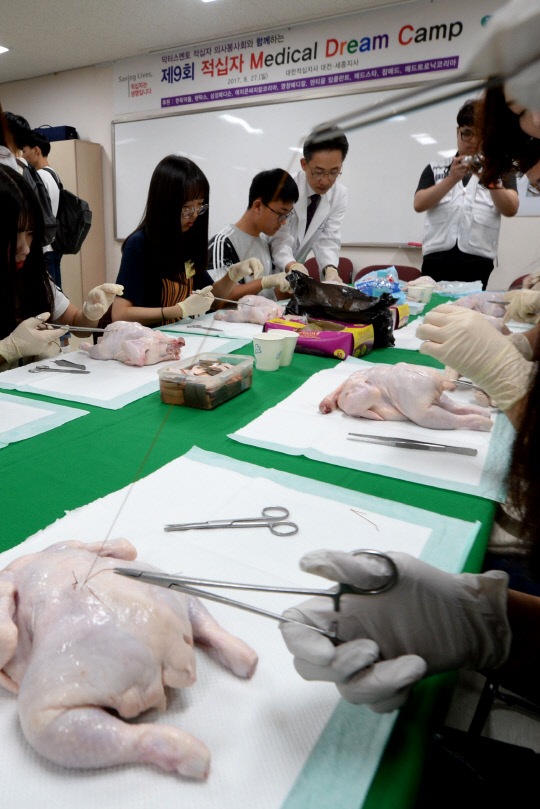 [포토] 적십자 메디컬 드림캠프
