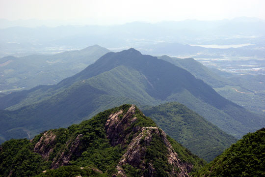 난항 겪던 향적산 치유의 숲 용역비 확보 본격 추진
