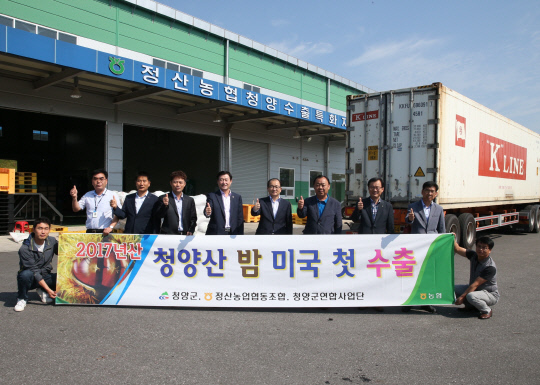 청양 칠갑산 알밤 미국 수출