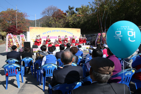 동막골 노인 번데기 주름축제 짱