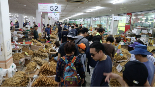 금산인삼축제 방문객 98만명, 인삼약초 787억원 매출
