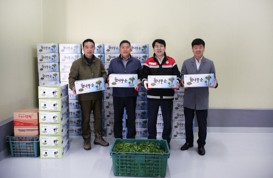 서산시, 성연면 오사리 일원 음나무 순 15t, 줄기 200t 생산…전국 생산량의 70% 차지