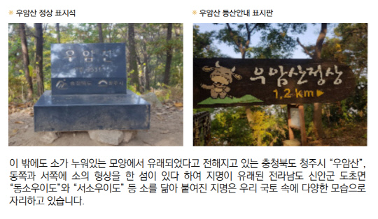 [2021년 흰소의 해]백신 어원은 소… 코로나 종식까지 우보호시(牛步虎視)를