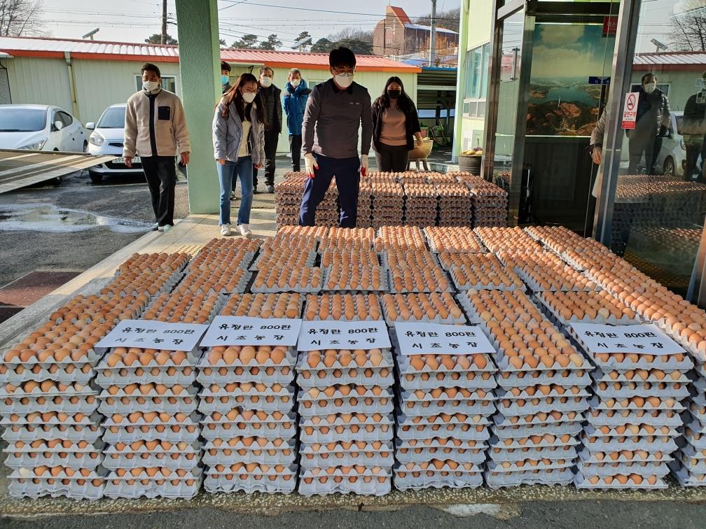 서천 신영성 시초농장 대표 유정란 800판 기탁