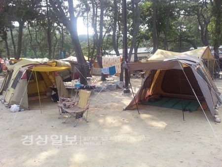 주전가족휴양지에 장기간 텐트 얌체족