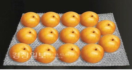 대명산업, 비용·선도 개선된 과일포장제 특허출원